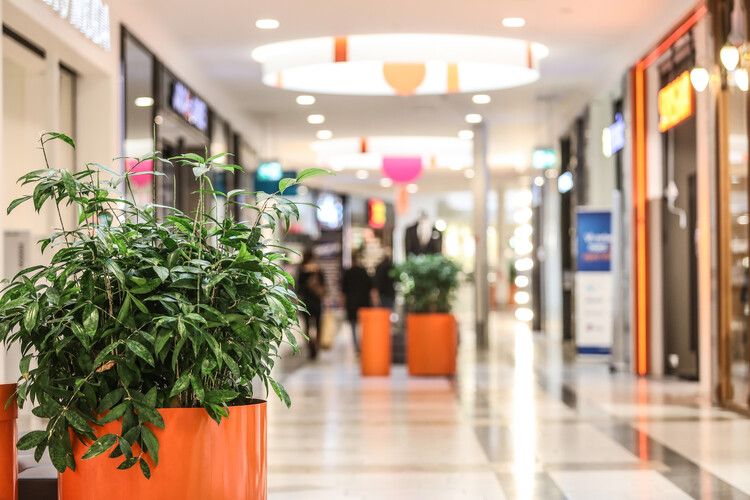 Ett köpcenter med växter i orenare krukor