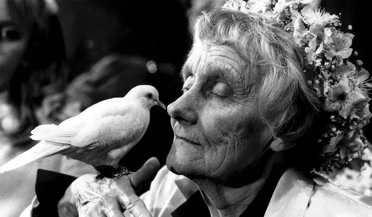 Astrid Lindgren duva