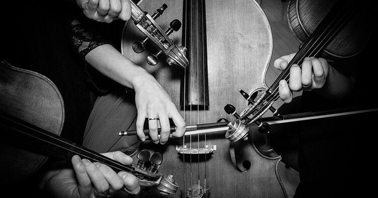 Violin